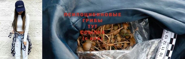 тгк Горно-Алтайск