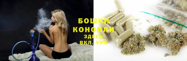 трава Зуевка