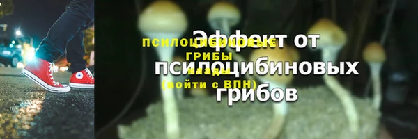 2c-b Мамадыш