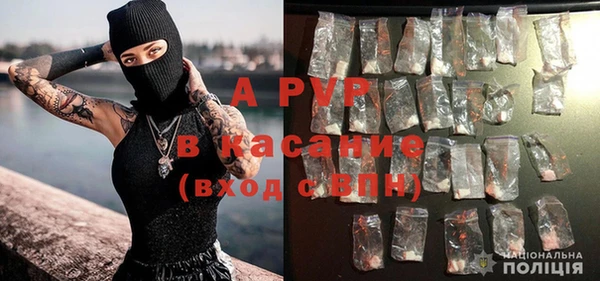 крисы Горнозаводск
