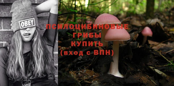 гашишное масло Горняк
