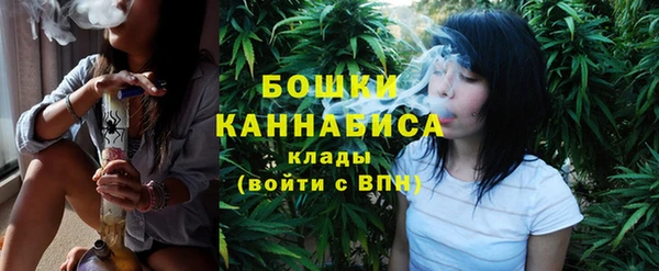 тгк Горно-Алтайск