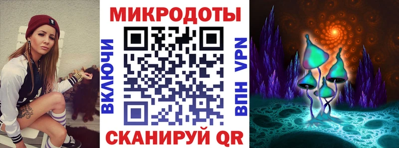 Псилоцибиновые грибы Psilocybe Очёр